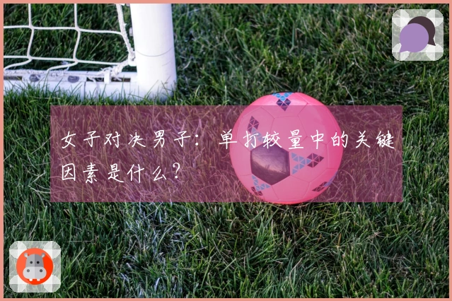 女子对决男子：单打较量中的关键因素是什么？